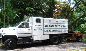 Tree trimming services Miami